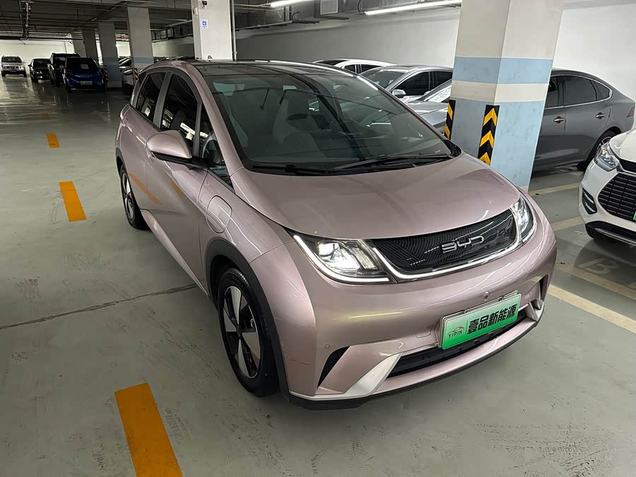 BYD Dolphin 2023 imagem de carro #4