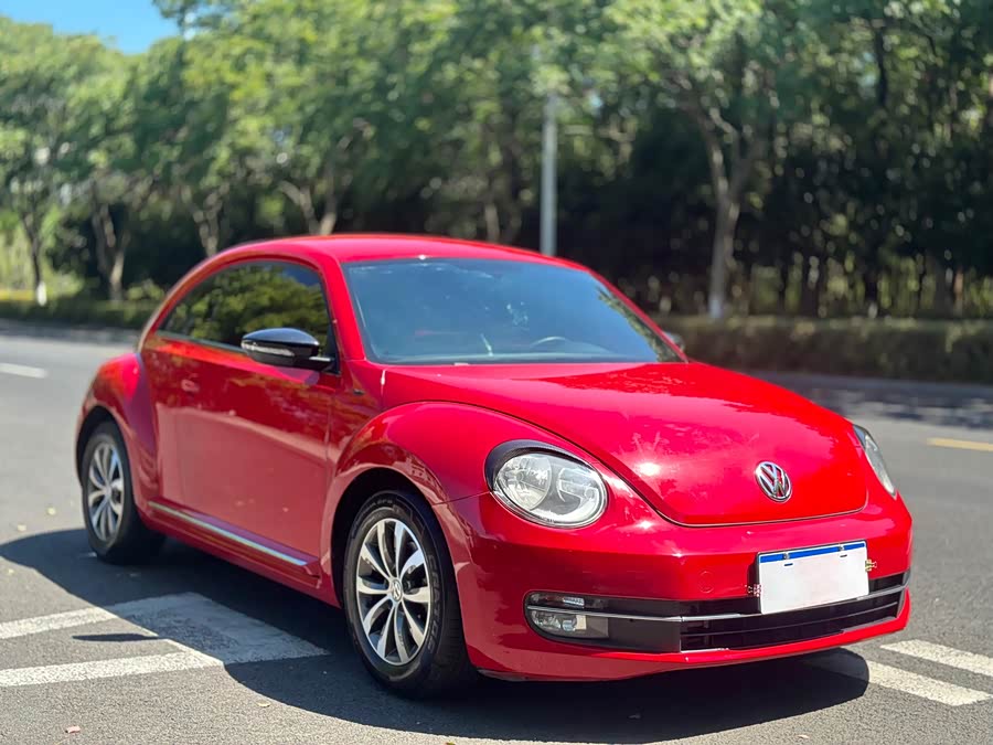 Volkswagen Beetle 2014 immagine di auto #4