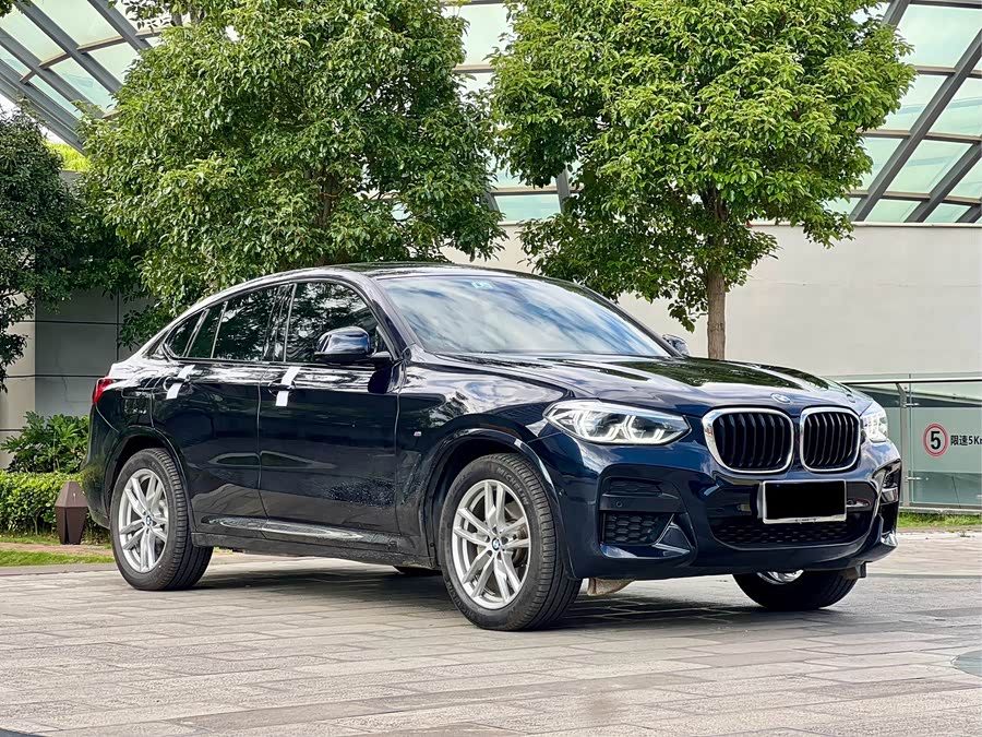 BMW X4 2020 car image #4