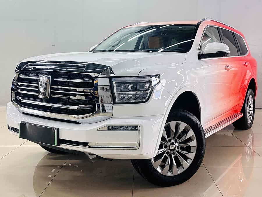 Tank 500 New Energy 2024 car image #4