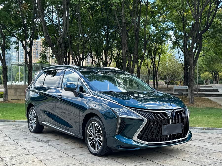 Forthing Yacht 2023 #4 Forthing Yacht 2023 car image #4