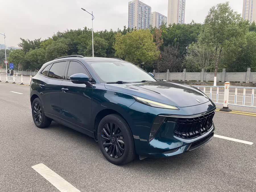 Forthing T5 EVO 2021 immagine di auto #4