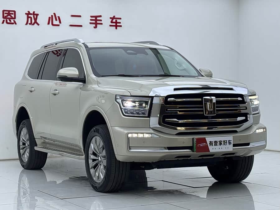 Tank 500 New Energy 2024 immagine di auto #4