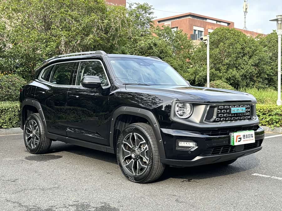 Haval X Dog 2 New Energy 2024 car image #4