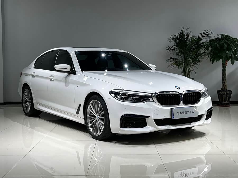 BMW 5 Series (Imported) 2019 #4 BMW 5 Series (Imported) 2019 car image #4