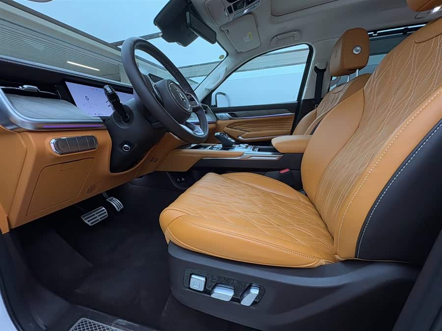 Tank 500 New Energy 2024 immagine di auto #4