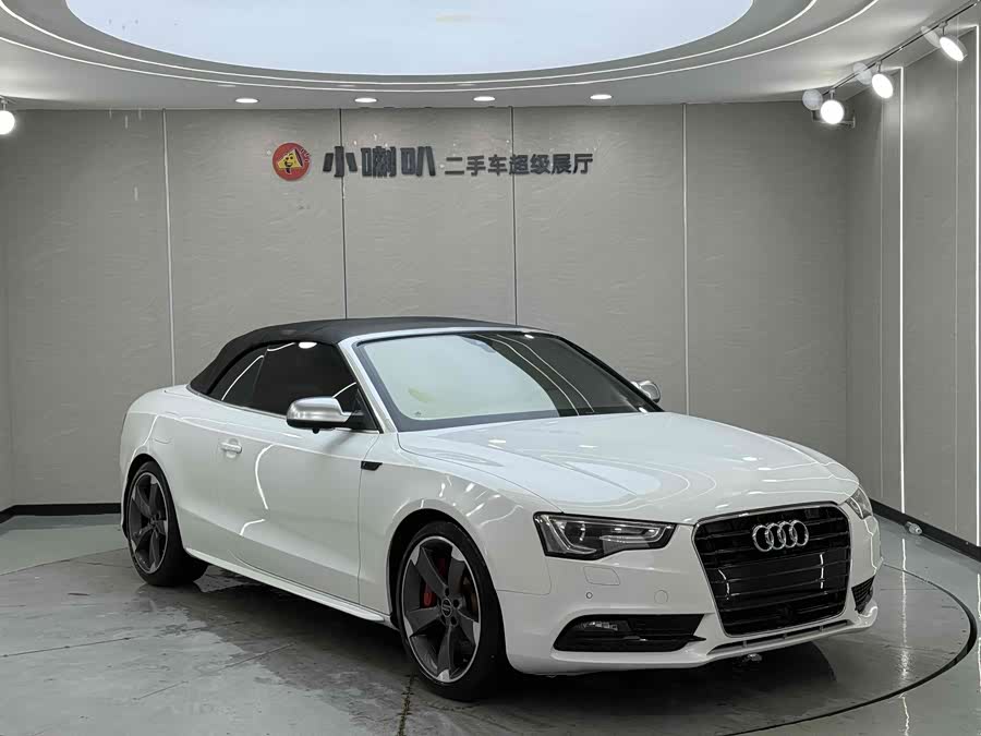 Audi A5 (Imported) 2013 car image #4