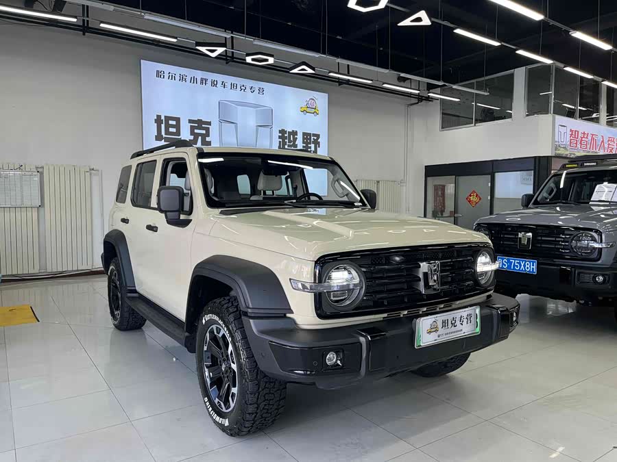 Tank 300 New Energy 2025 car image #4