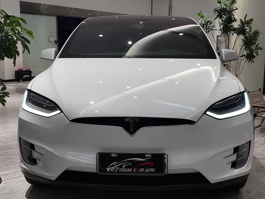 特斯拉 Model X 2020 汽车图片 #4
