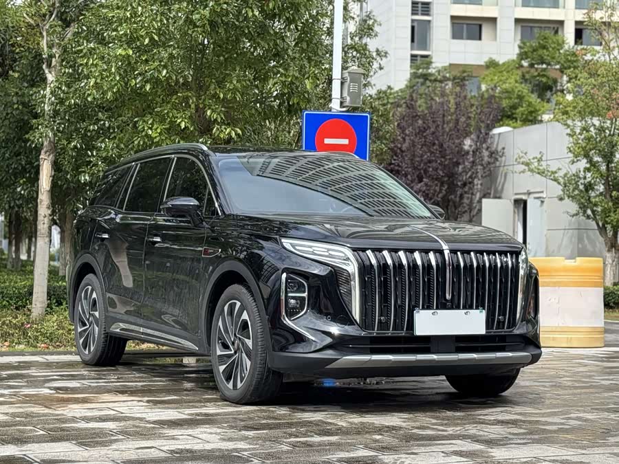 HongQi HS7 PHEV 2024 car image #4
