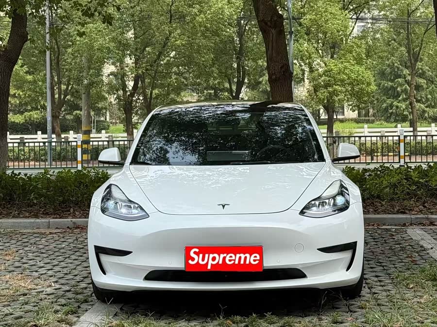 特斯拉 Model 3 2021 汽车图片 #4