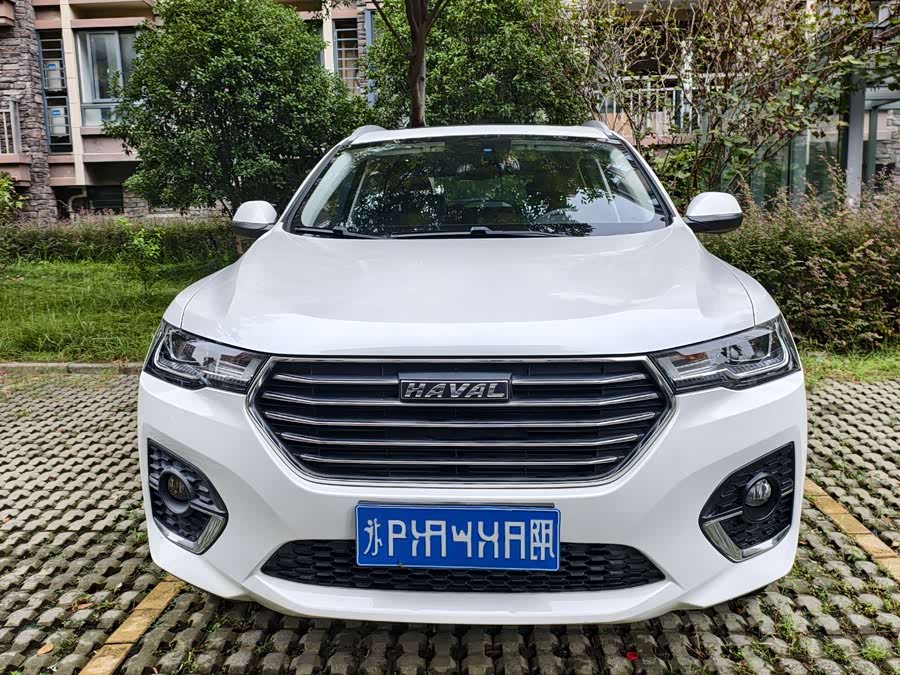 Haval H4 2020 #4 Haval H4 2020 car image #4