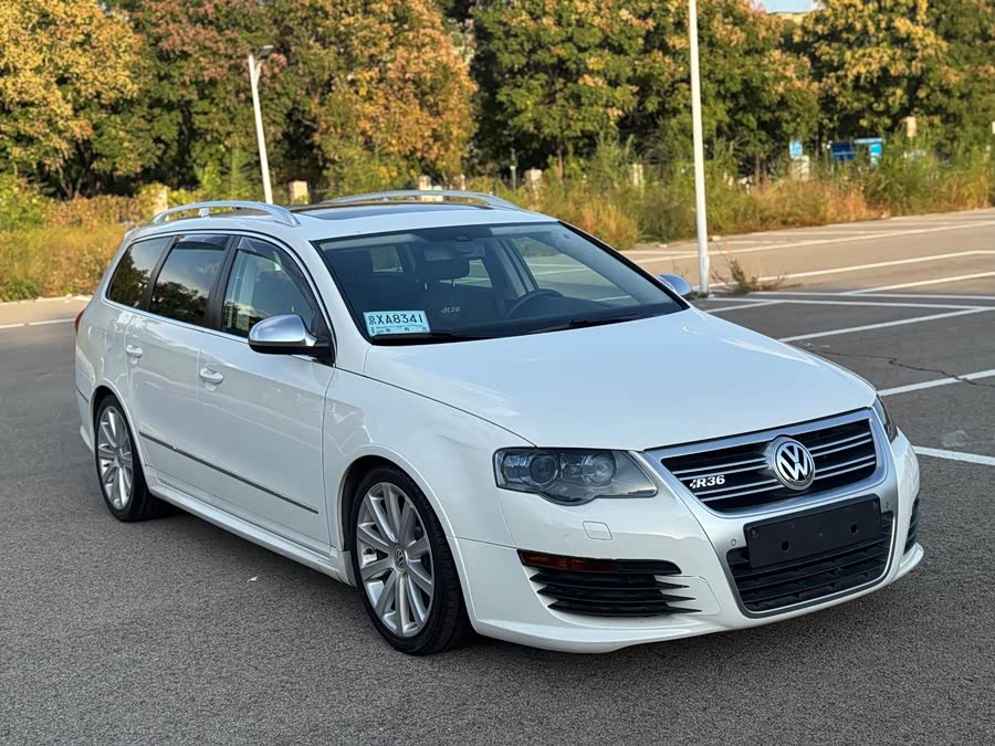 大众 Passat 2010 汽车图片 #4