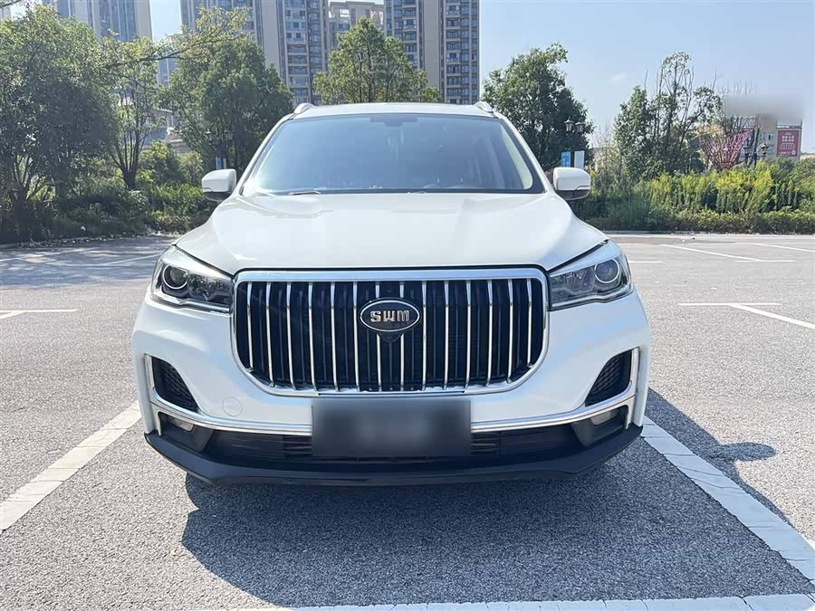 SWM G05 2019 car image #4