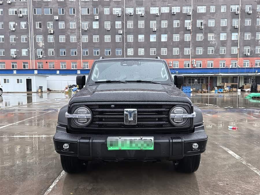 Tank 300 New Energy 2025 car image #4