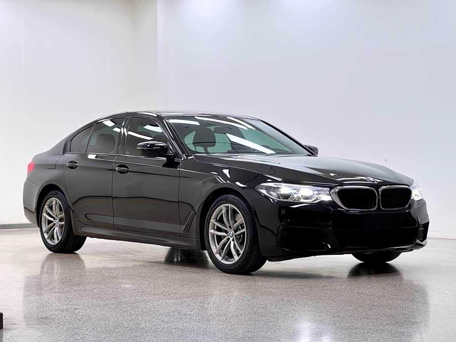 BMW 5 Series (Imported) 2019 #4 BMW 5 Series (Imported) 2019 car image #4