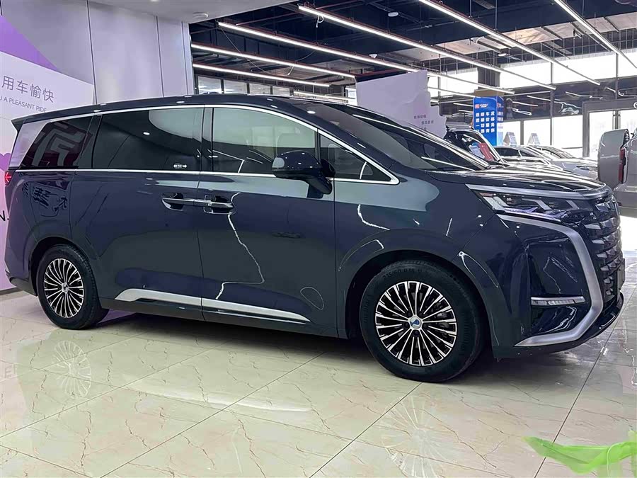 Denza D9 2023 imagem de carro #4