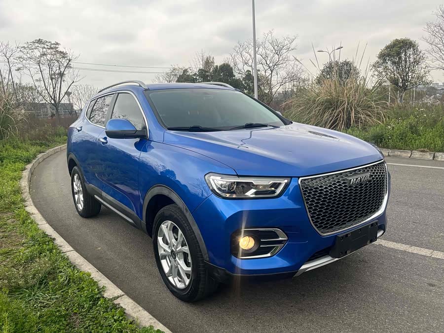 Haval H2s 2019 imagen de coche #4