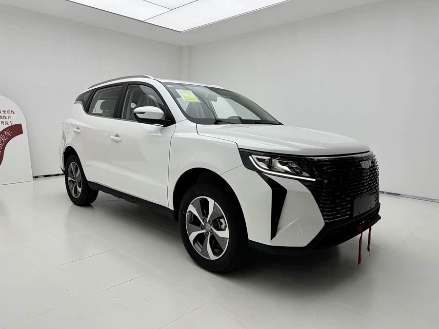 GEELY OkavangoPRO 2025 car image #4