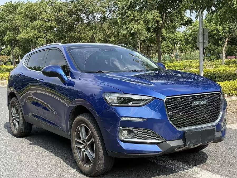 Haval F5 2020 #4 Haval F5 2020 car image #4