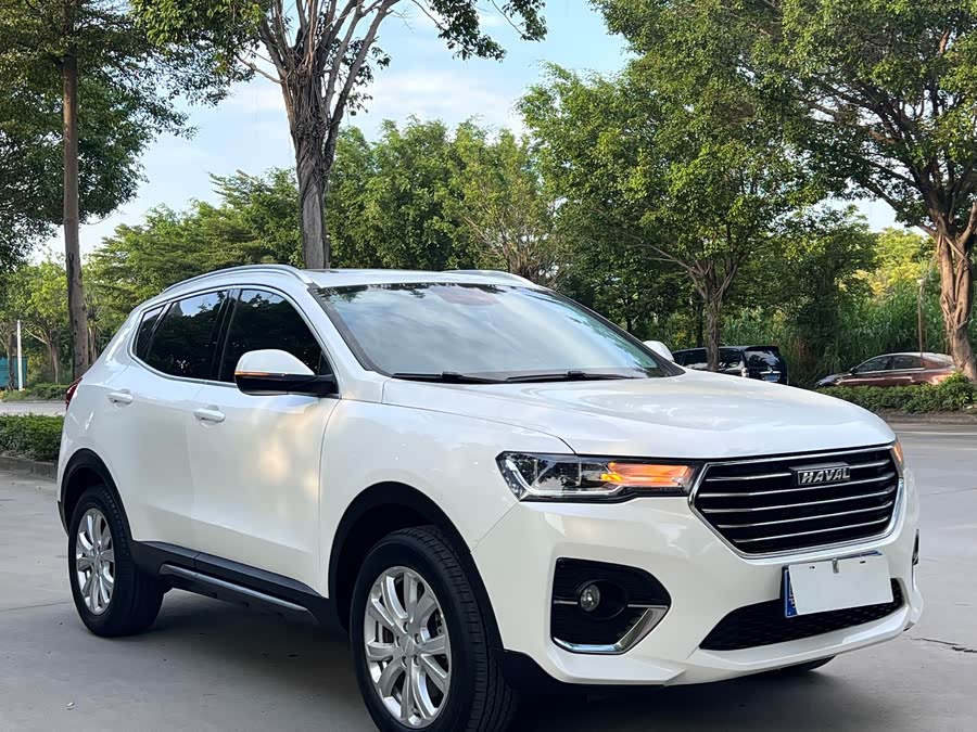 Haval H4 2019 #4 Haval H4 2019 car image #4