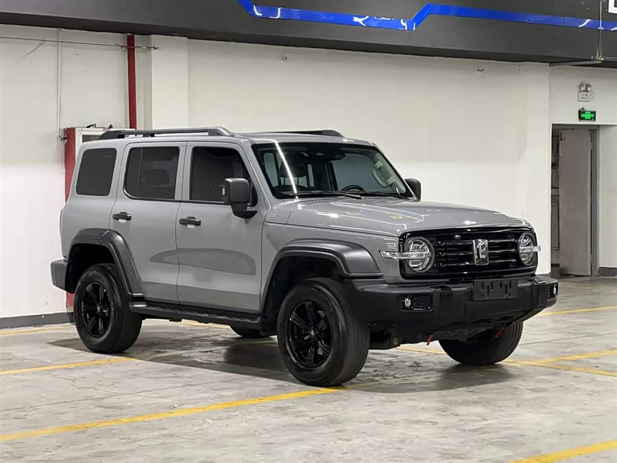 Tank 300 2021 car image #4