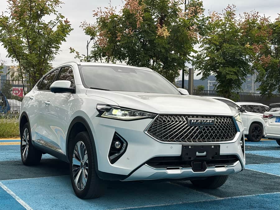 Haval F7x 2021 #4 Haval F7x 2021 car image #4
