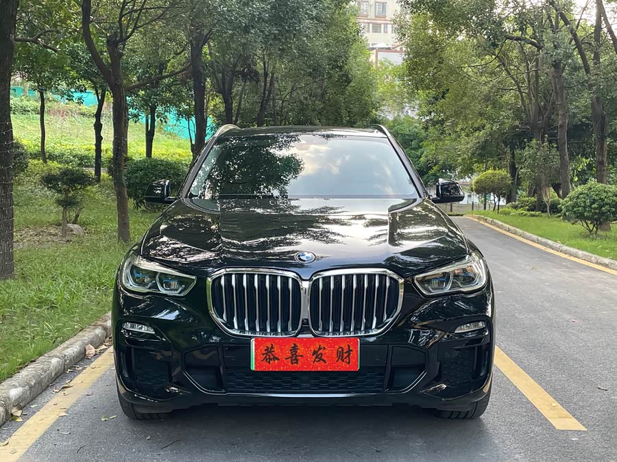 BMW X5 New Energy (Imported) 2021 car image #4