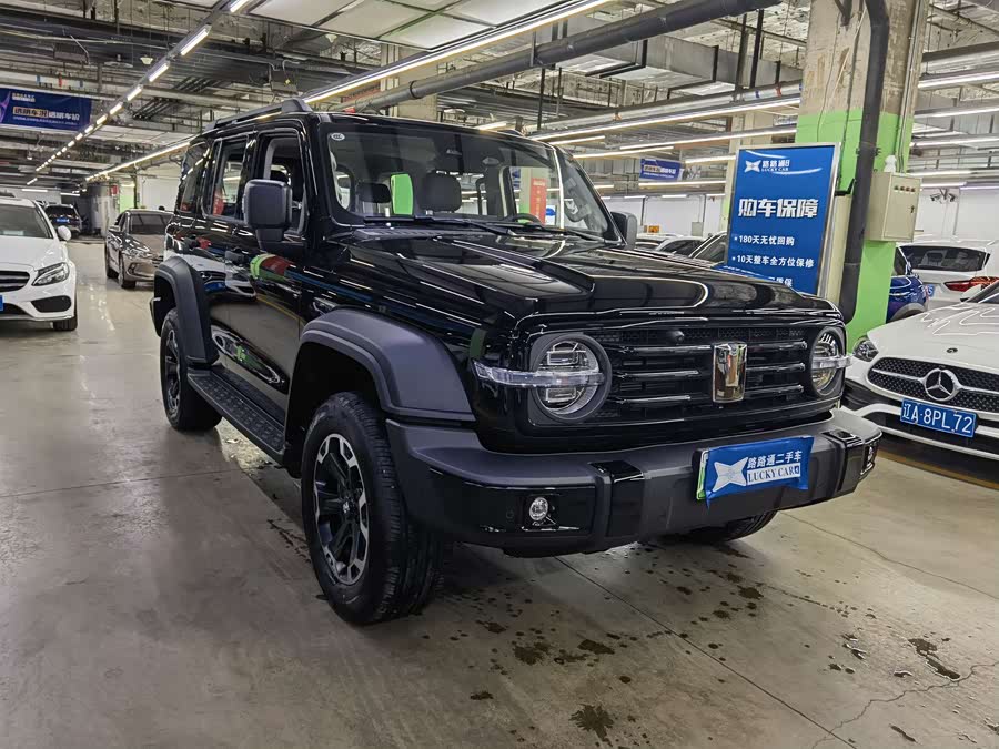 Tank 300 New Energy 2025 car image #4