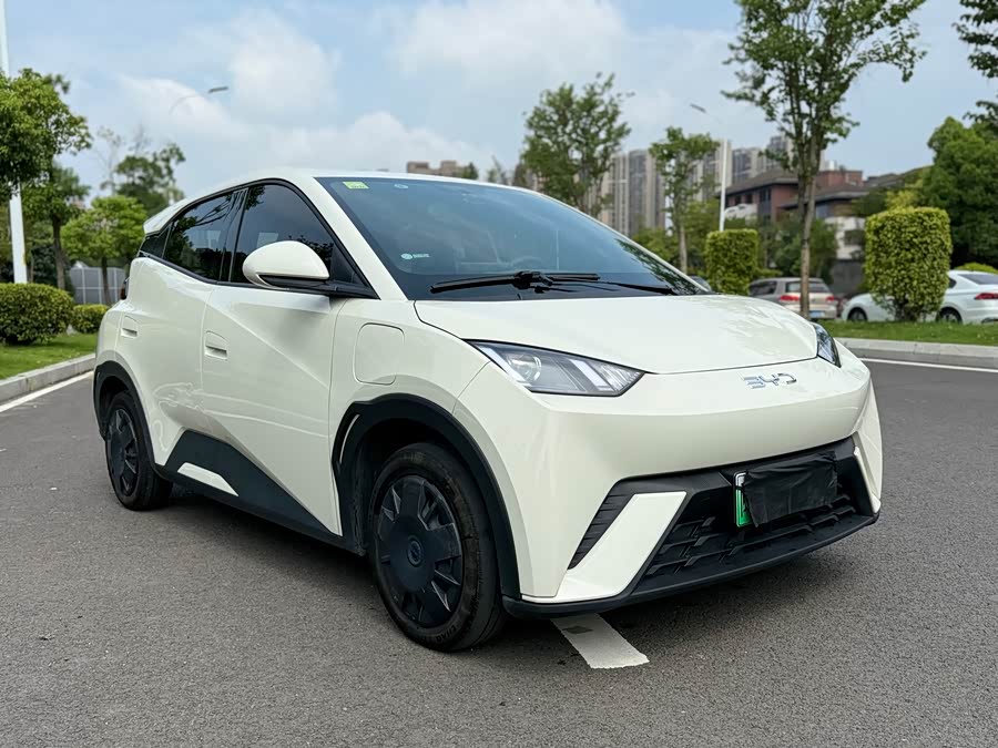 BYD Seagull 2024 car image #4