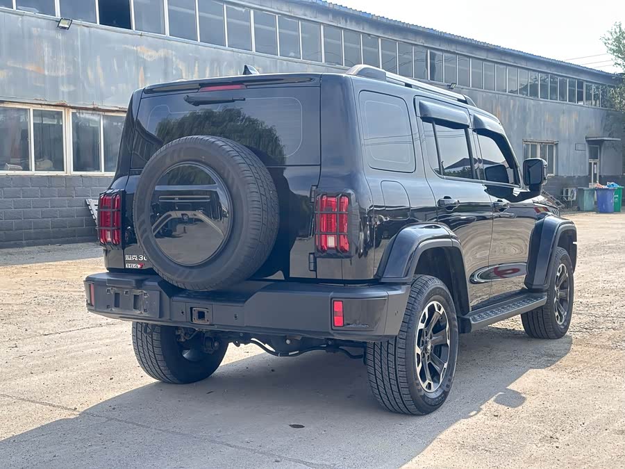 Tank 300 New Energy 2024 car image #4