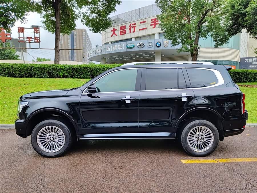 Tank 500 New Energy 2025 immagine di auto #4