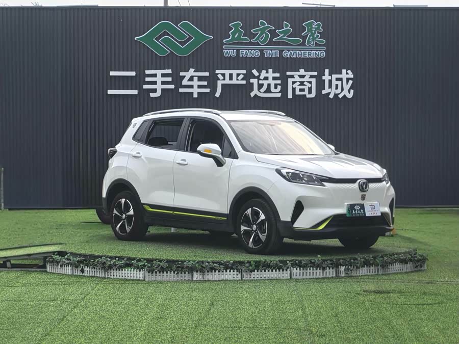 Changan E-Pro New Energy 2020 car image #4