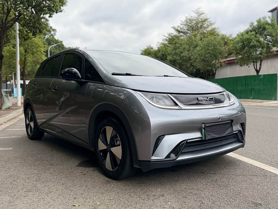 BYD Dolphin 2023 car image #4