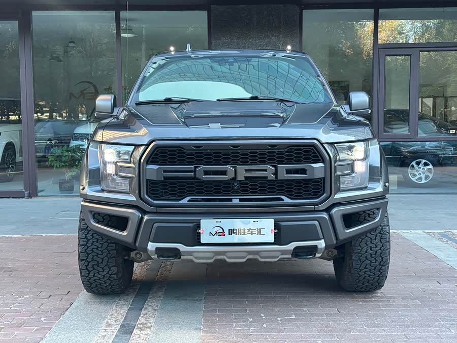 Ford F-150 Raptor 2019 car image #4