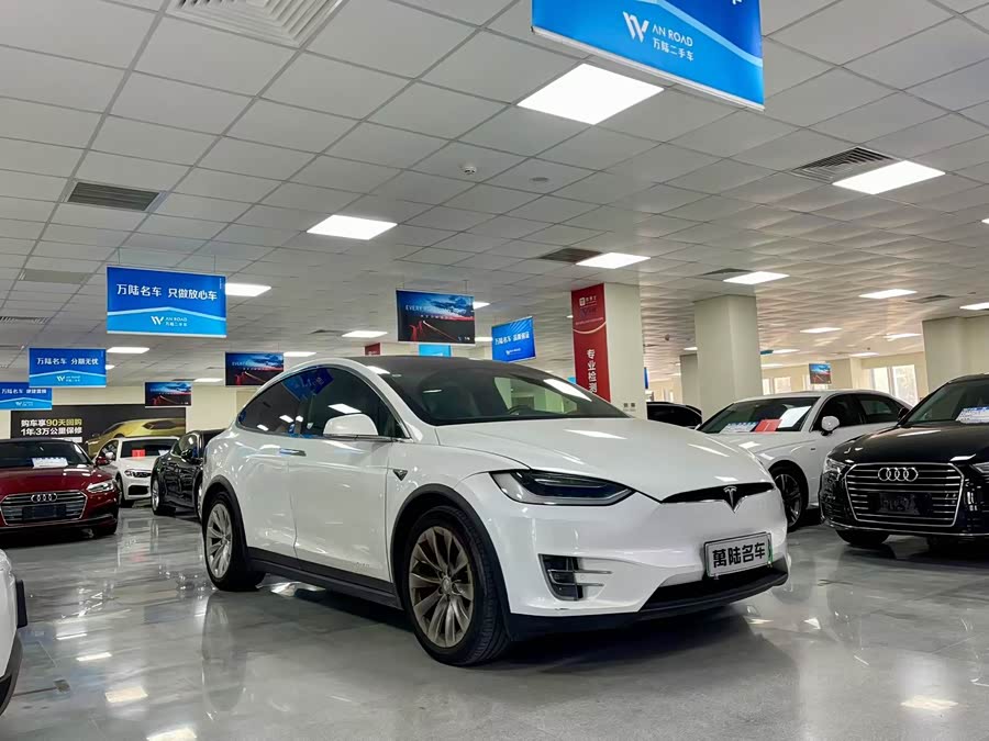 特斯拉 Model X 2019 汽车图片 #4