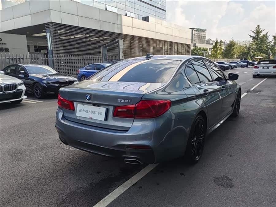 BMW 5 Series (Imported) 2019 #4 BMW 5 Series (Imported) 2019 car image #4