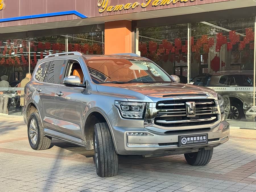 Tank 500 New Energy 2024 car image #4