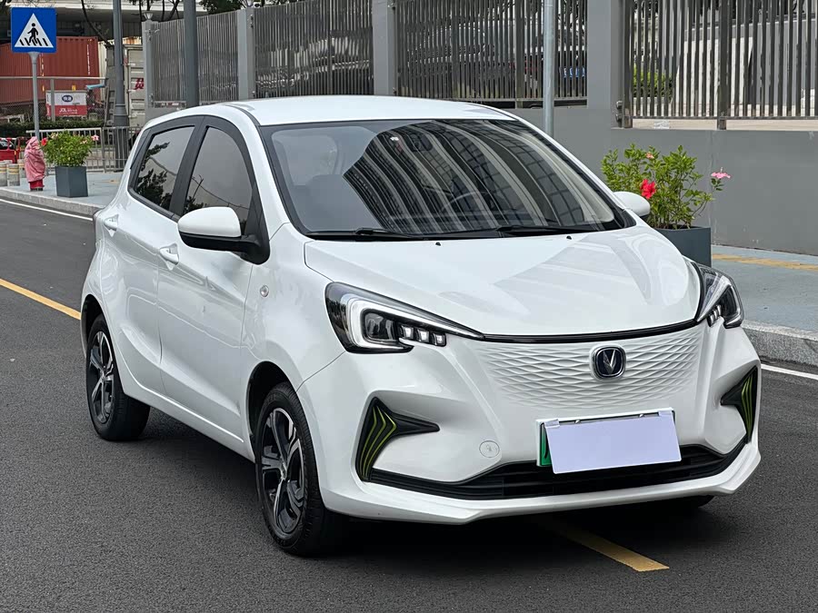 Changan BenBen E-Star 2021 #4 Changan BenBen E-Star 2021 изображение автомобиля #4
