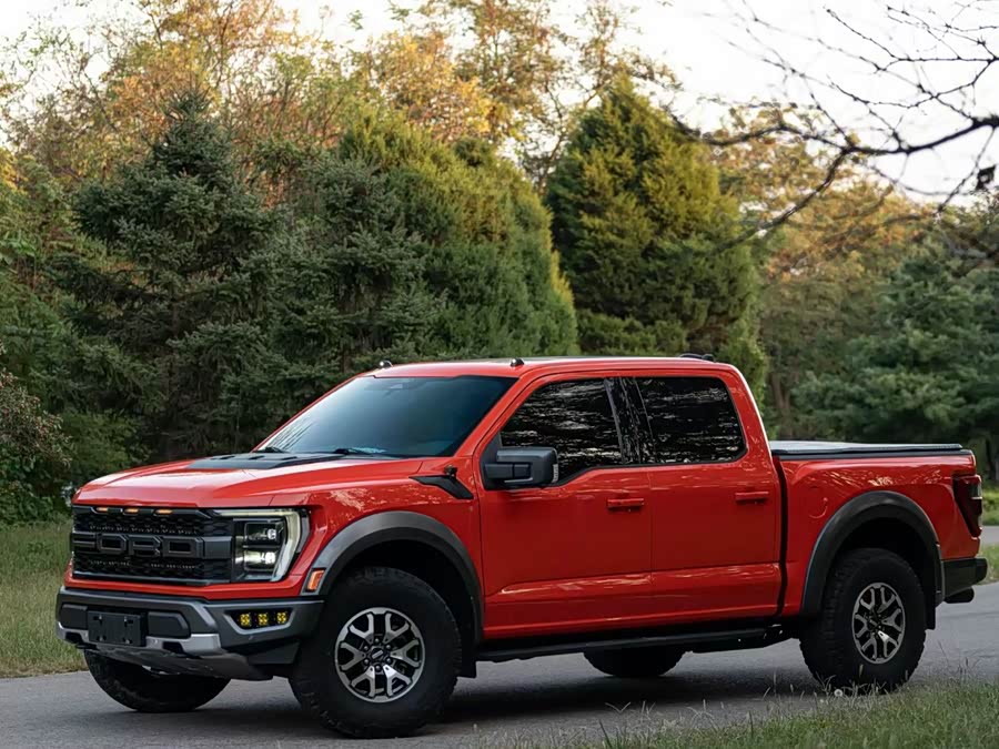 Ford F-150 Raptor 2023 car image #4