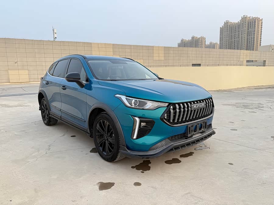 Haval Rabbit 2021 imagen de coche #4