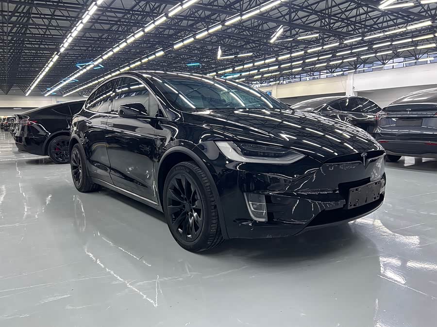 Tesla Model X 2019 #4 Tesla Model X 2019 car image #4