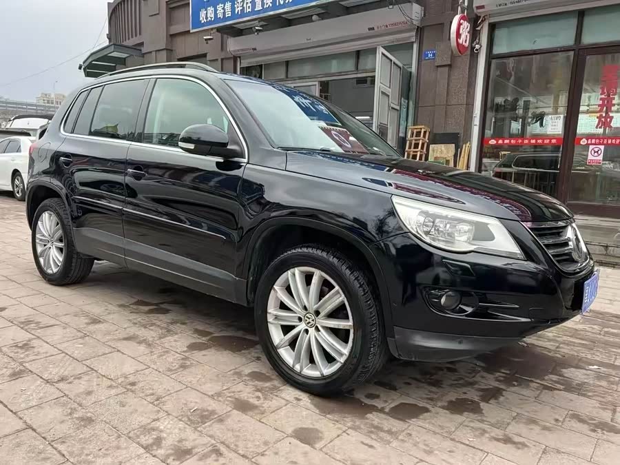 大众 Tiguan 2010 汽车图片 #4