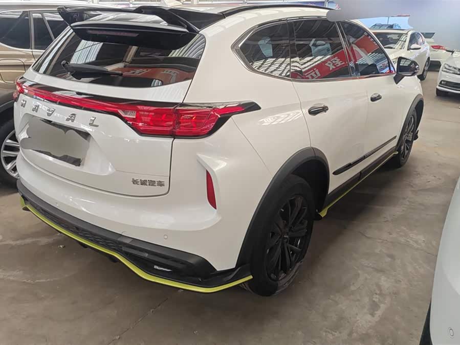 Haval Rabbit 2021 immagine di auto #4