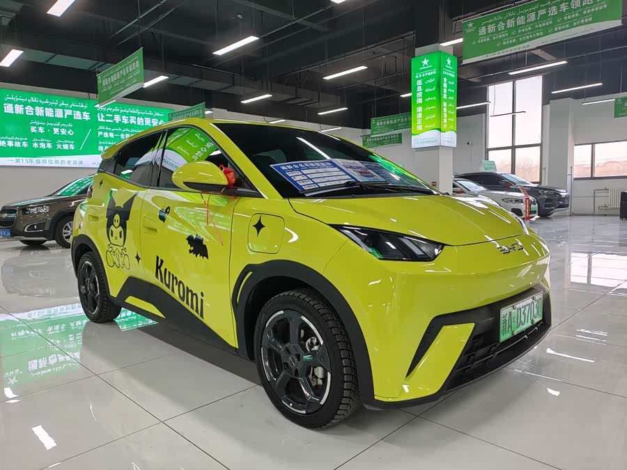 BYD Seagull 2024 car image #4