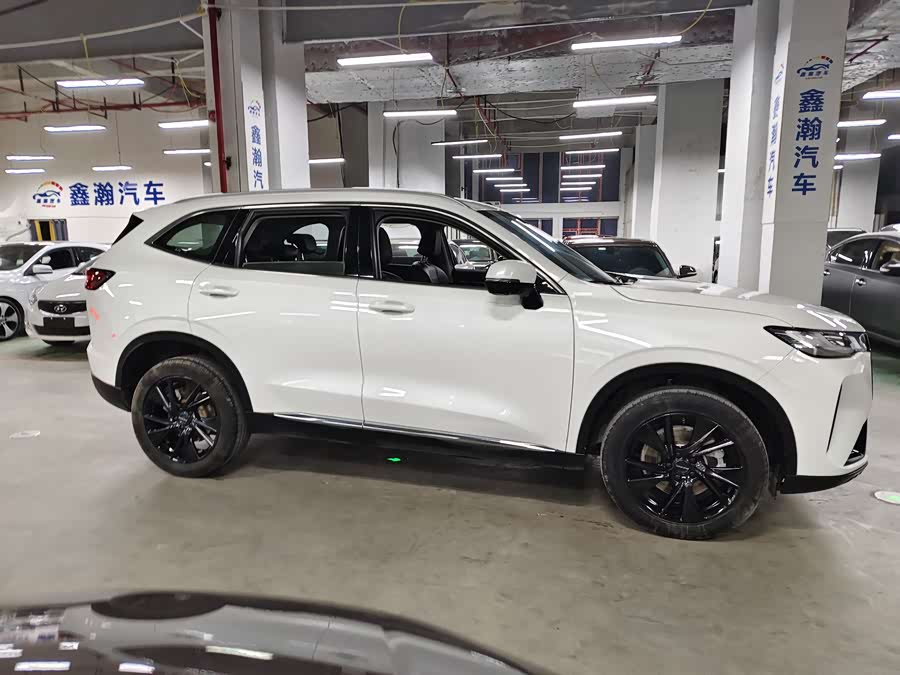 Haval H6 2021 car image #4