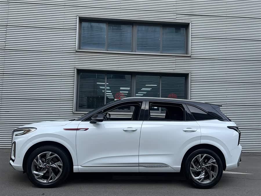 HongQi HS3 2023 immagine di auto #4