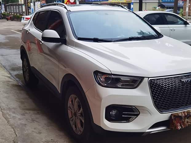 Haval H2s 2019 imagem de carro #4