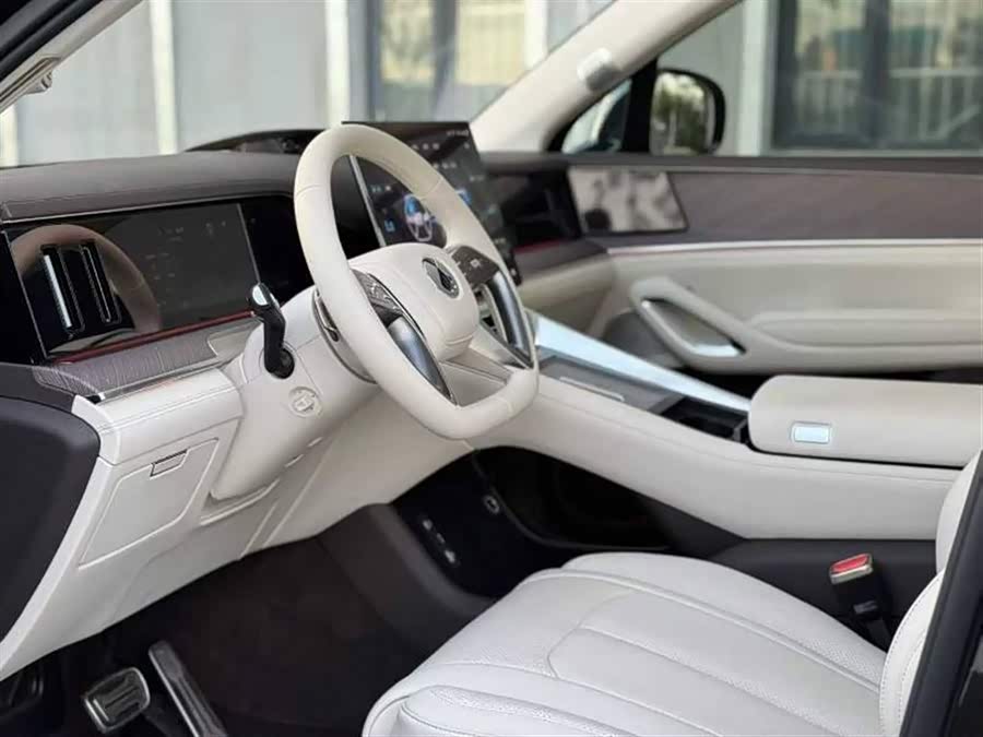 Denza N9 2025 immagine di auto #4