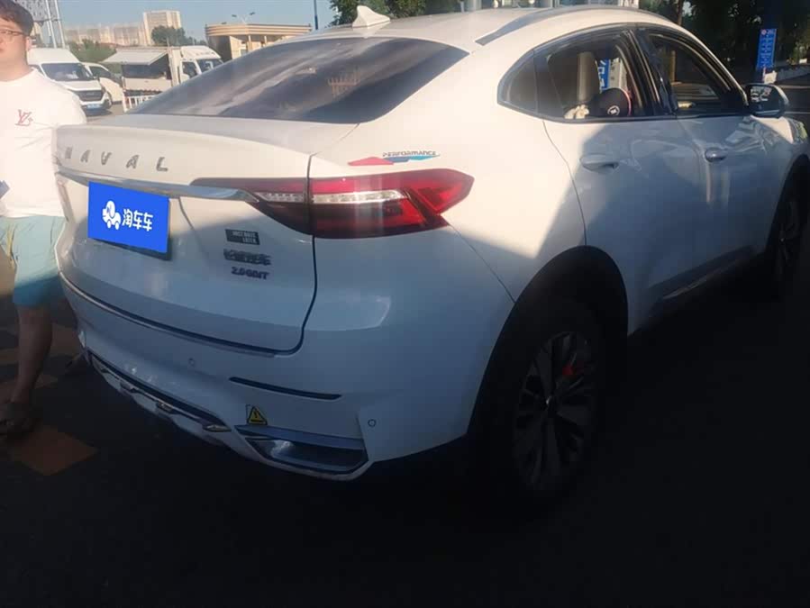 Haval F7x 2021 immagine di auto #4